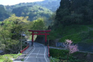 花の宿・よもやま館様の高台のパーキング広場から、夕刻の高龍神社さんの大鳥居を望む。