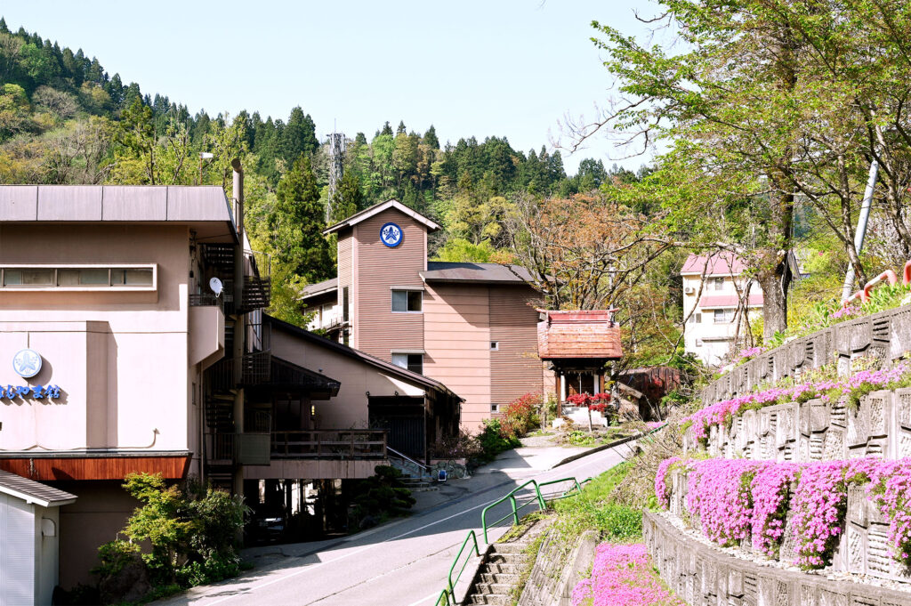 よもやま館様高台の駐車像より、蓬平温泉・花の宿・よもやま館様を望む。