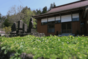 春の小さな可愛い黄色い花が咲き誇る慶學寺の境内前