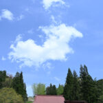 慶學寺・花まつり当日５月５日の晴天の風景